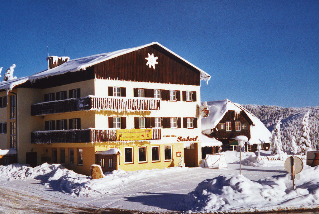 Gaberlhaus Hotel Salla Exterior foto